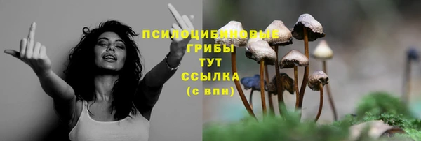 соль ск Балахна