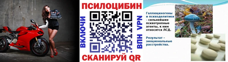 Галлюциногенные грибы Psilocybine cubensis  где найти наркотики  Звенигород 